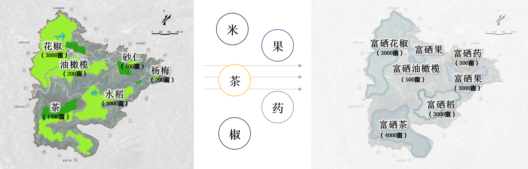 產(chǎn)業(yè)規(guī)?；?png